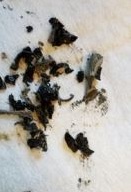 Fragments in oil pan